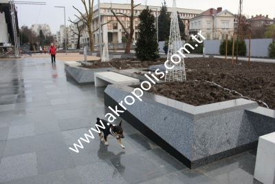 Akroplois
